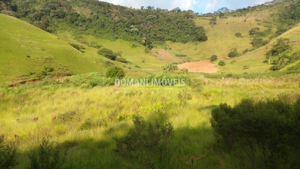 Sítio, 4 quartos - Foto 2