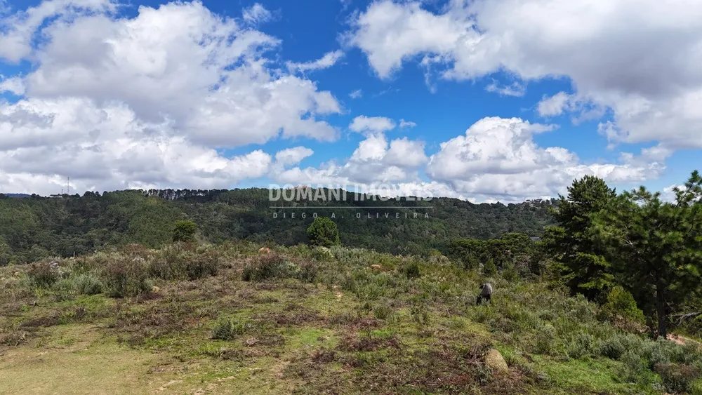 Terreno, 5270 m² - Foto 4