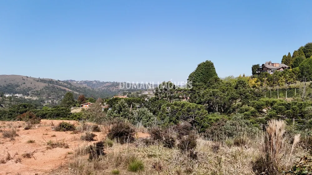 Terreno - Foto 4