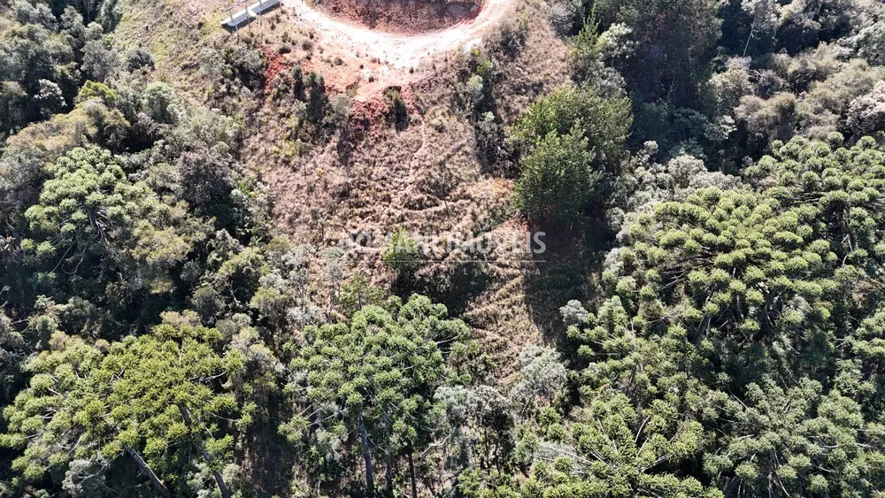 Terreno - Foto 3