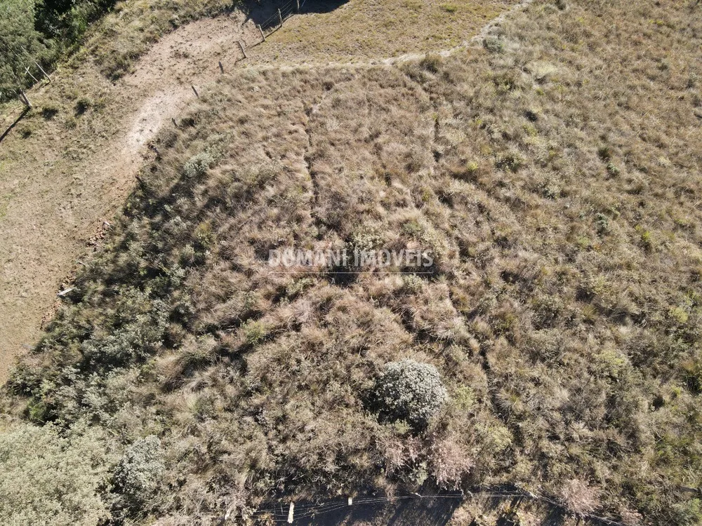 Terreno, 1200 m² - Foto 6