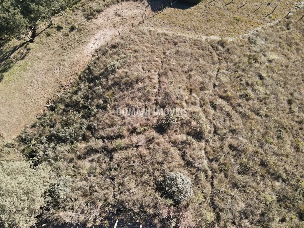 Terreno, 1200 m² - Foto 5