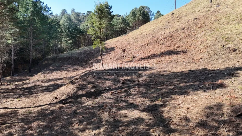 Terreno, 1150 m² - Foto 5