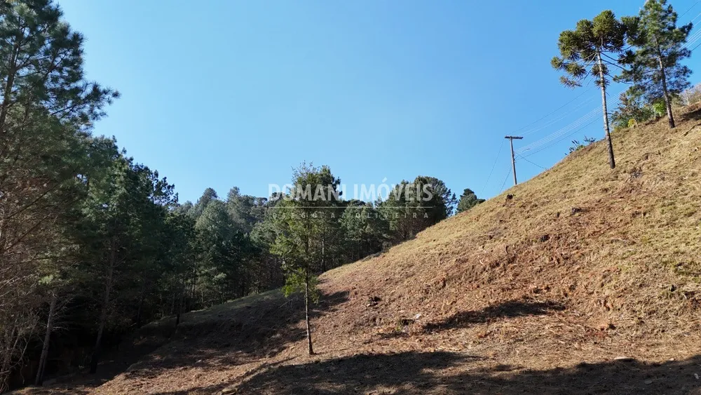 Terreno, 1150 m² - Foto 1