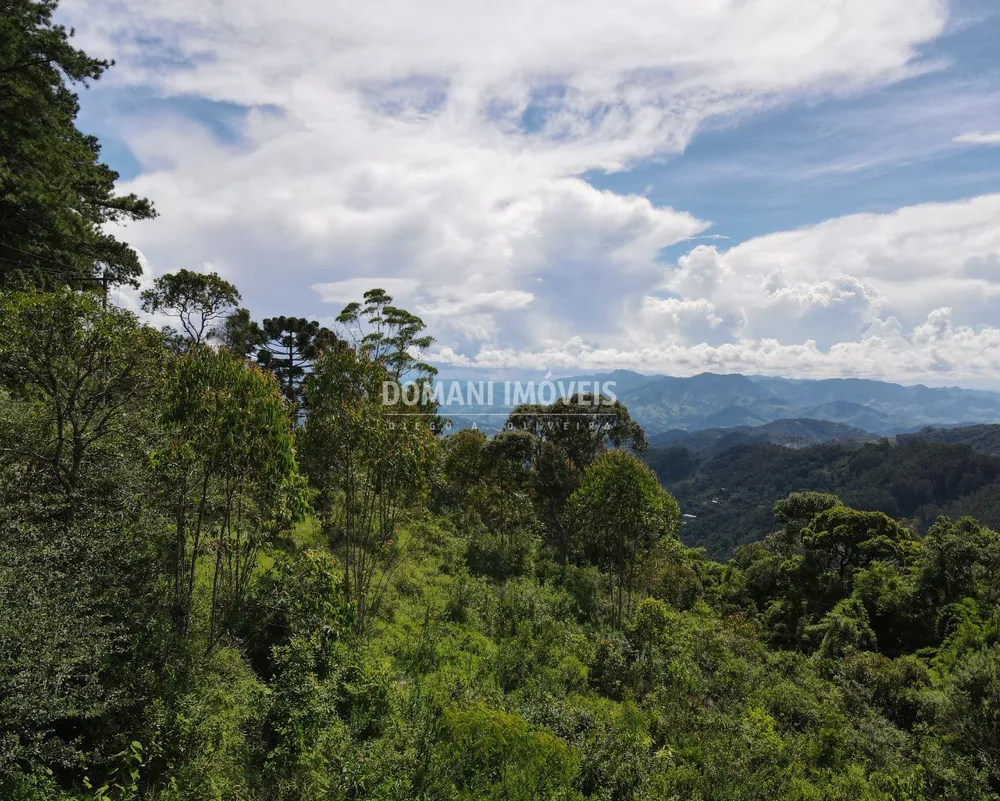 Terreno à venda - Foto 3