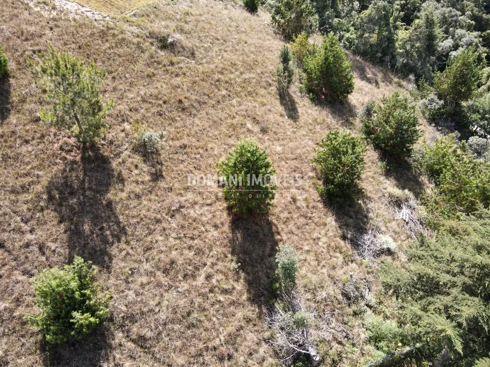 Terreno, 2210 m² - Foto 3