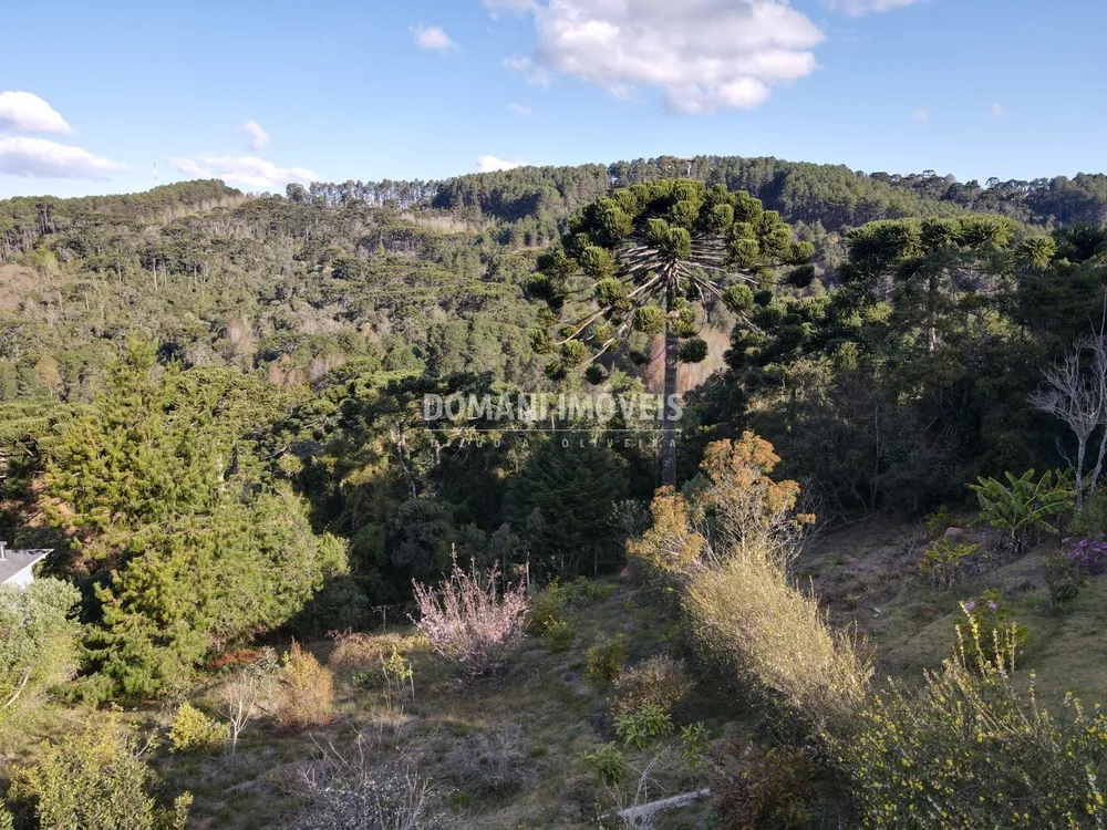 Terreno, 1210 m² - Foto 2
