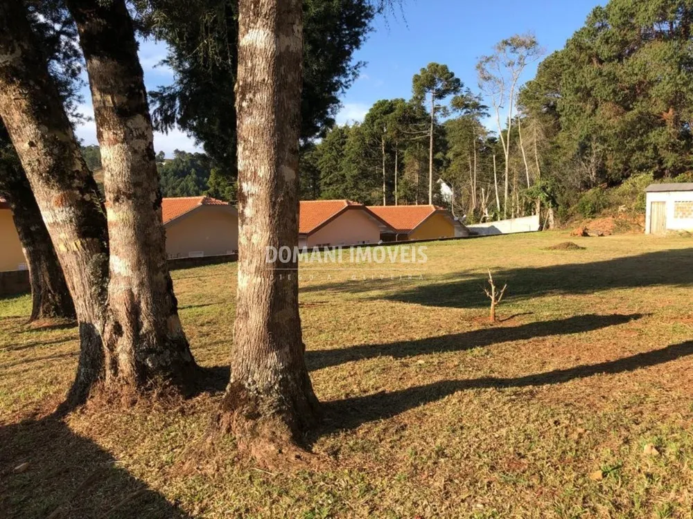 Terreno, 995 m² - Foto 4