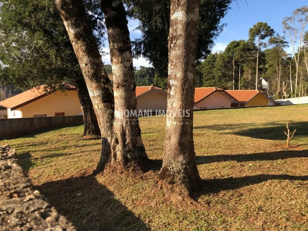 Terreno, 995 m² - Foto 6