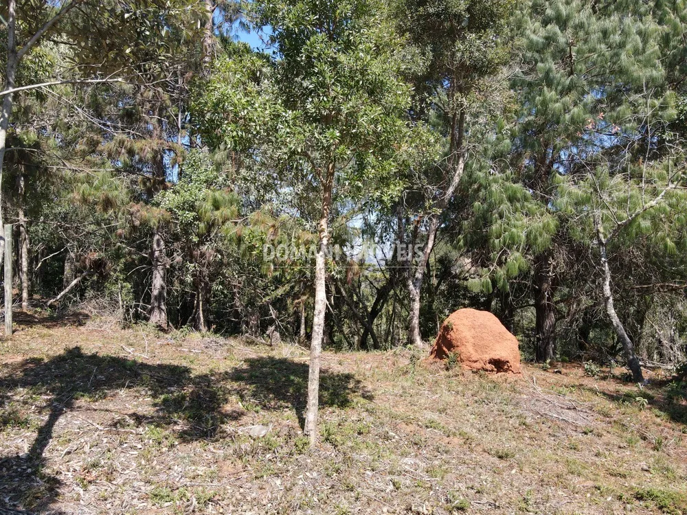 Terreno, 1680 m² - Foto 10