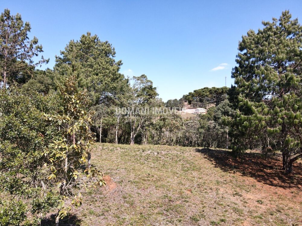 Terreno, 1680 m² - Foto 3