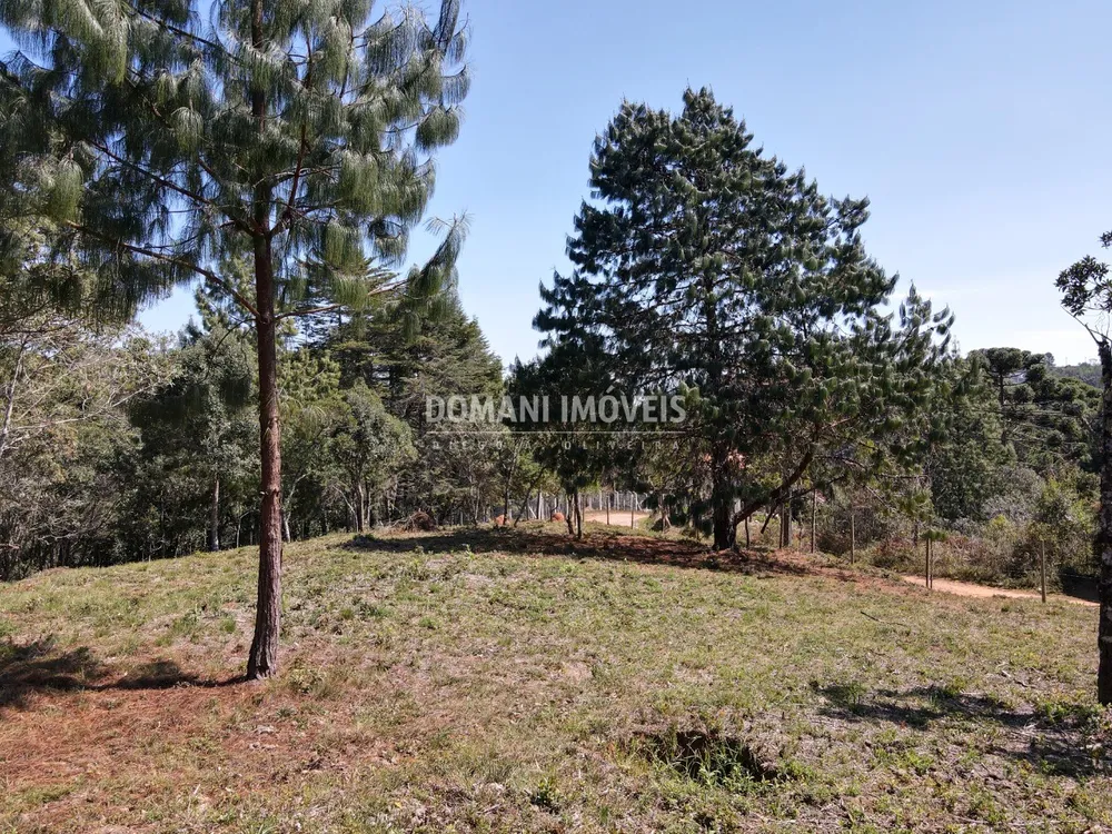 Terreno, 1680 m² - Foto 6