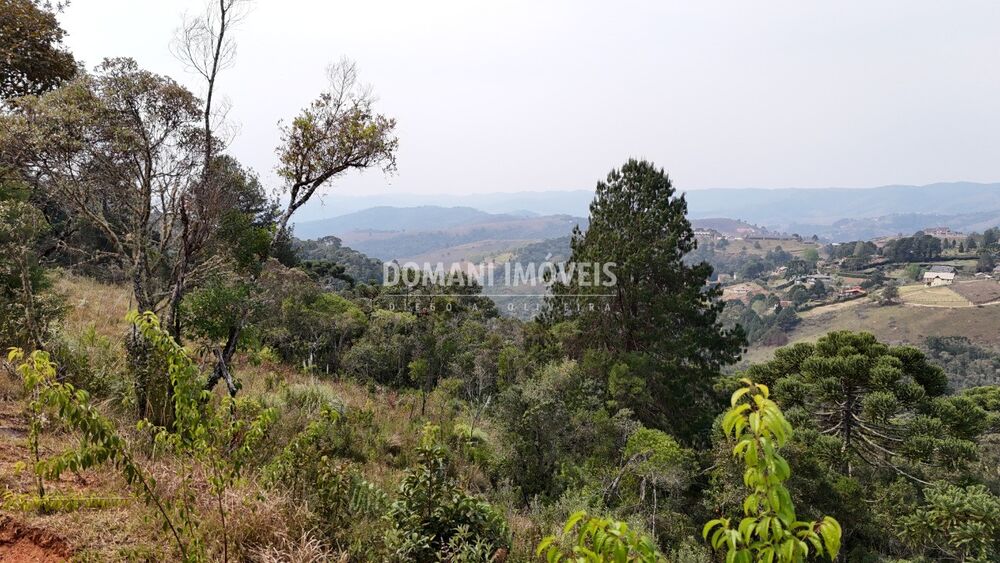 Terreno, 8480 m² - Foto 4