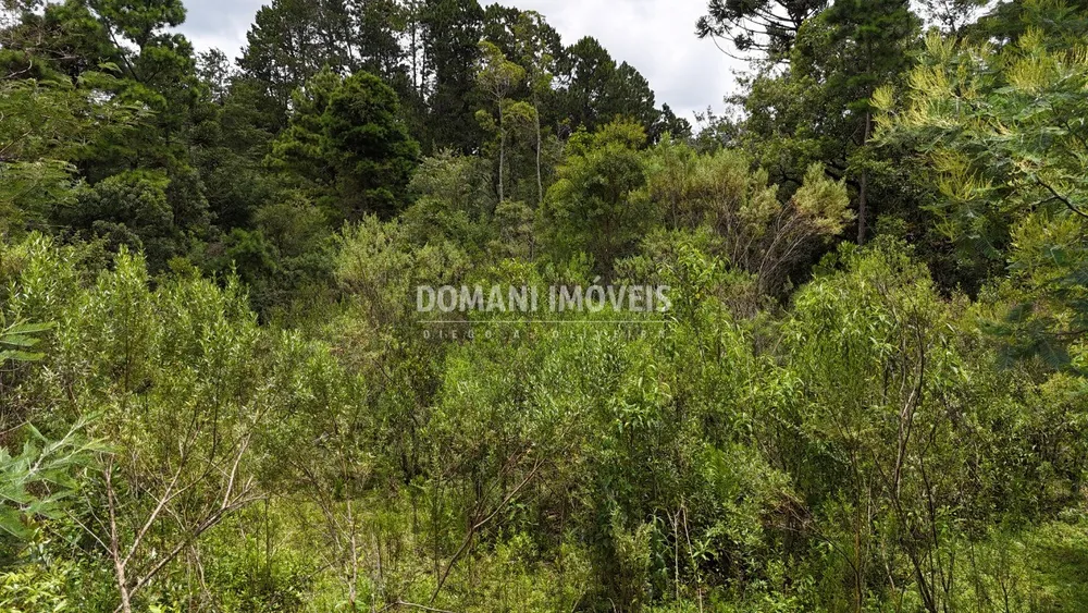 Terreno, 3290 m² - Foto 4