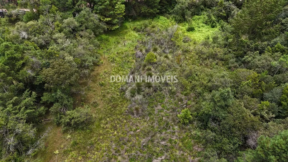 Terreno, 3290 m² - Foto 7
