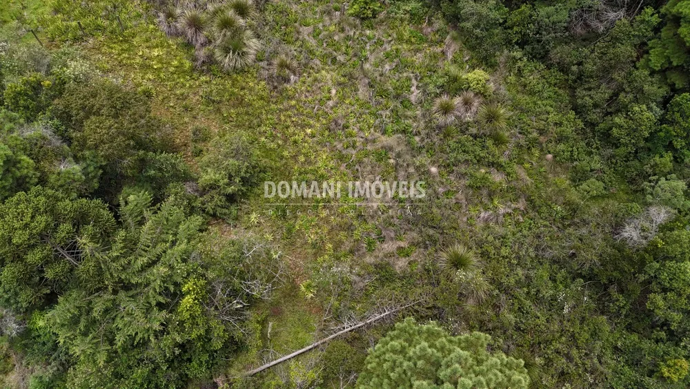 Terreno, 3290 m² - Foto 3