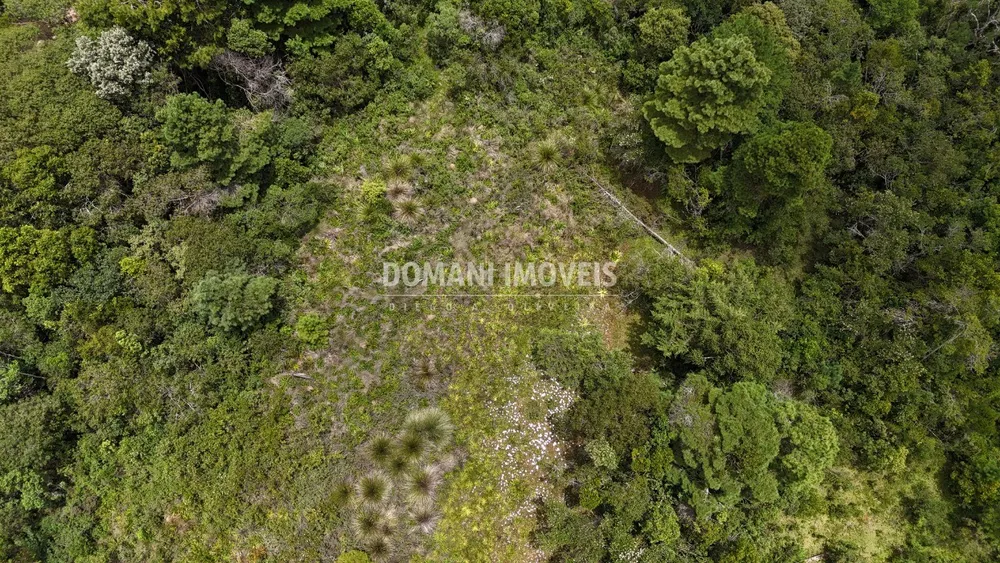Terreno, 3290 m² - Foto 5