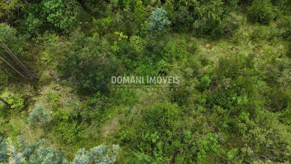 Terreno, 3290 m² - Foto 8