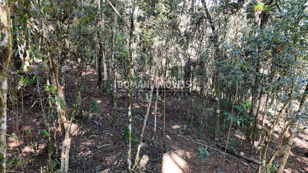 Terreno, 1080 m² - Foto 3