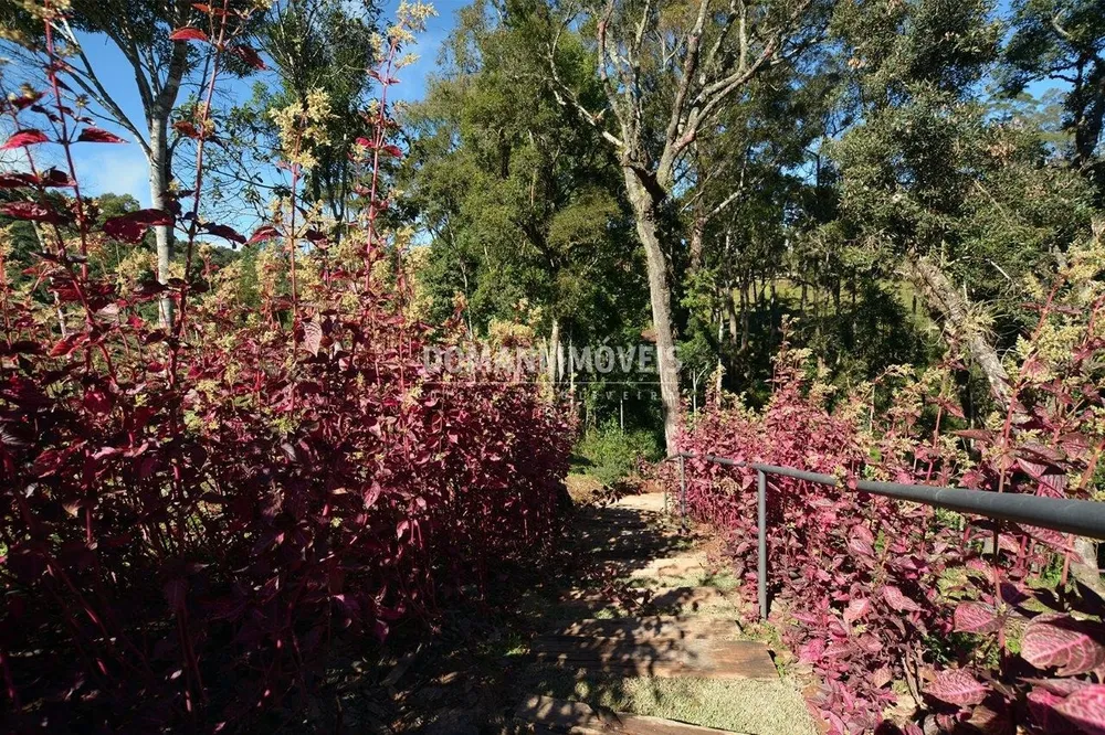 Terreno, 1120 m² - Foto 7