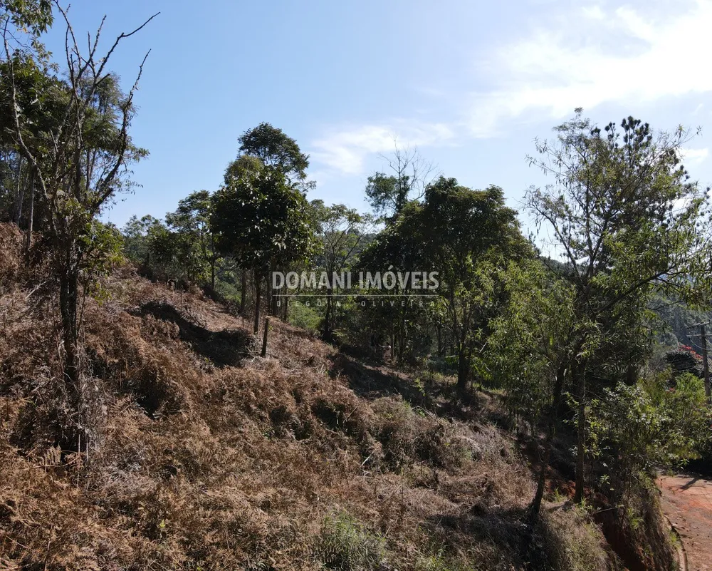 Terreno, 7300 m² - Foto 9