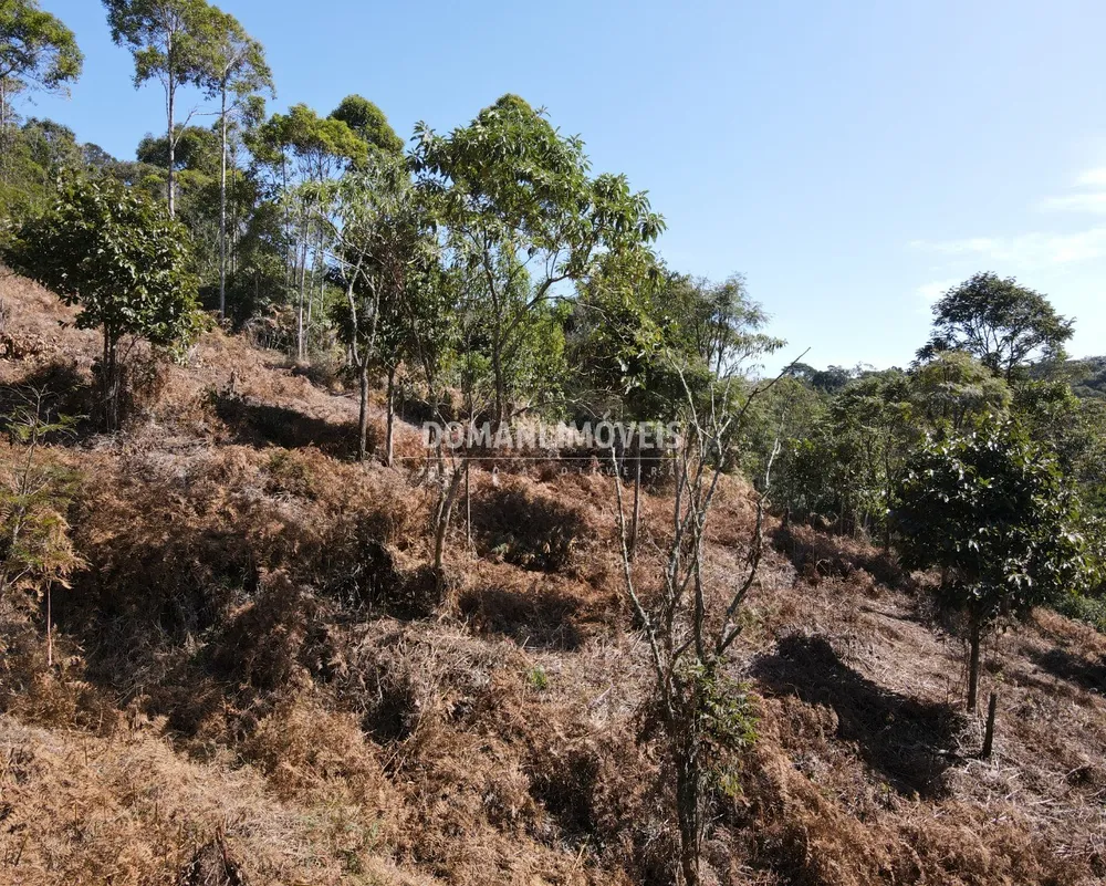 Terreno, 7300 m² - Foto 13