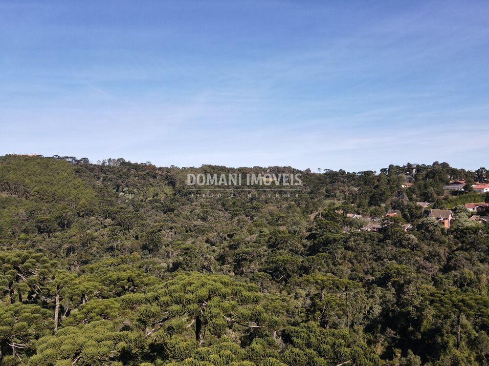 Terreno, 4300 m² - Foto 4