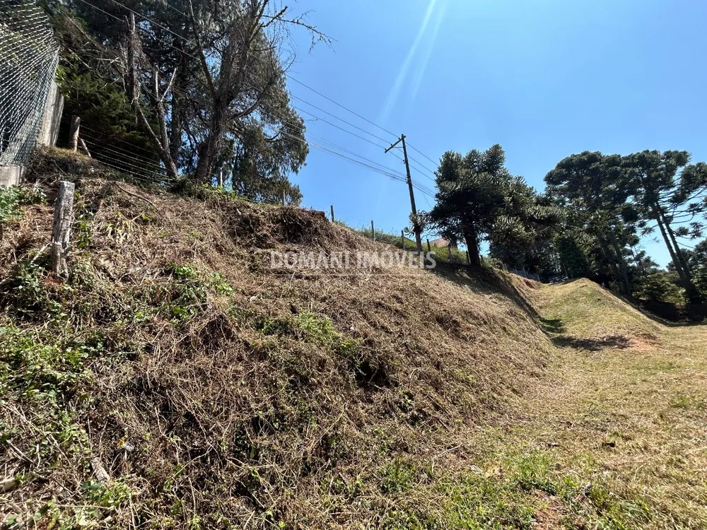 Terreno, 2610 m² - Foto 7