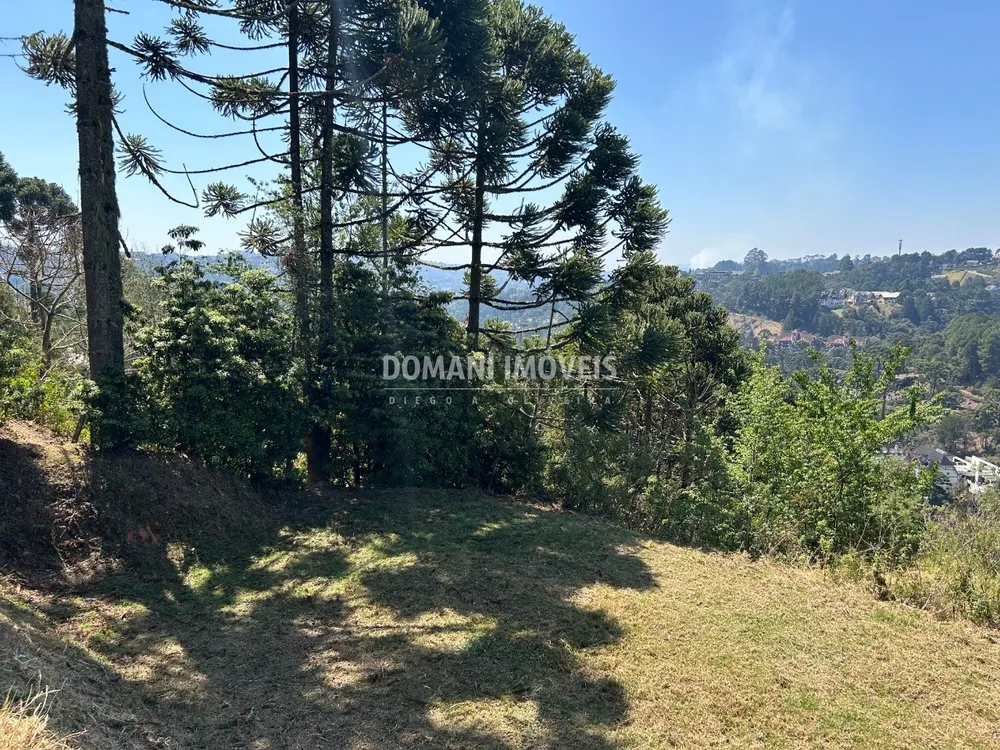 Terreno, 2610 m² - Foto 6