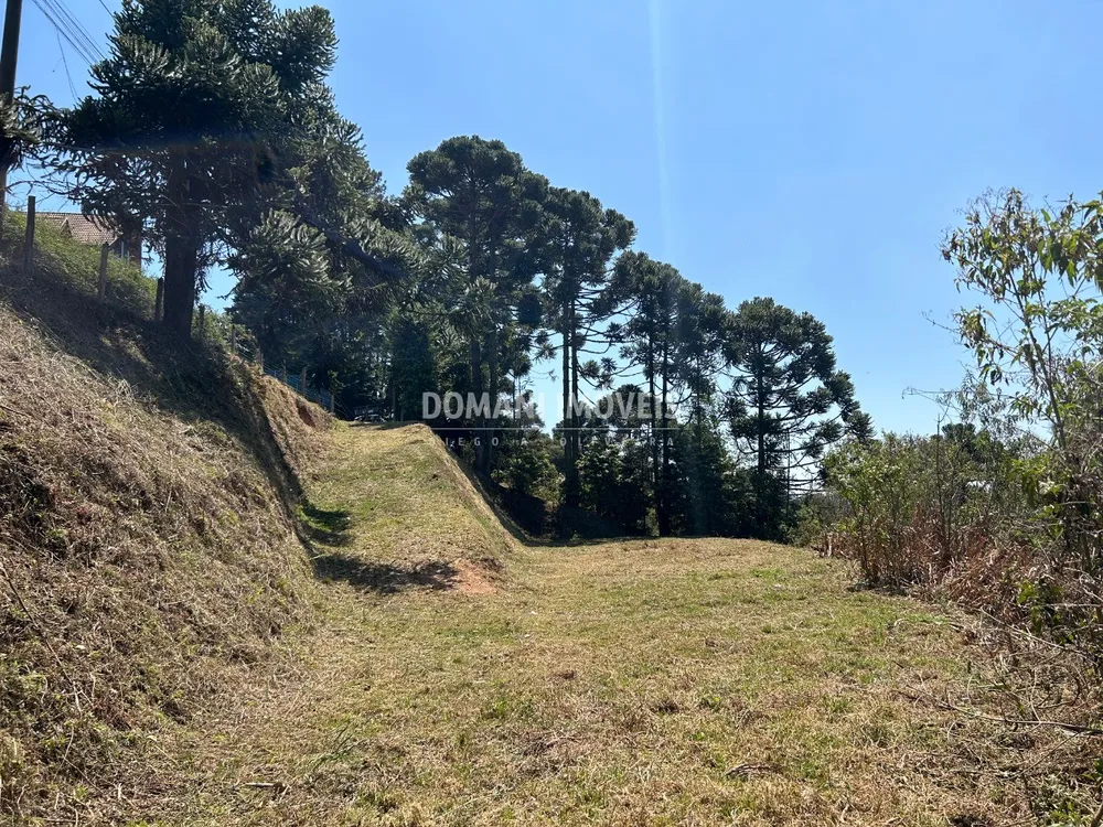 Terreno, 2610 m² - Foto 2