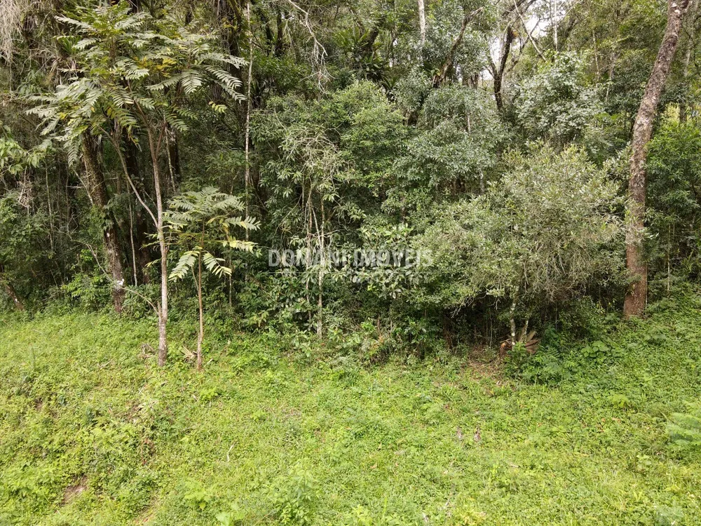 Terreno, 1270 m² - Foto 11