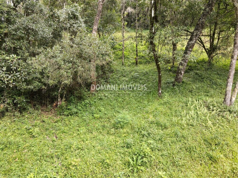 Terreno, 1270 m² - Foto 4