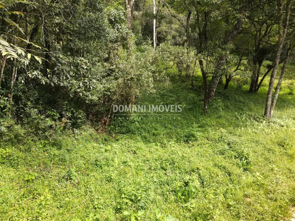 Terreno, 1270 m² - Foto 10