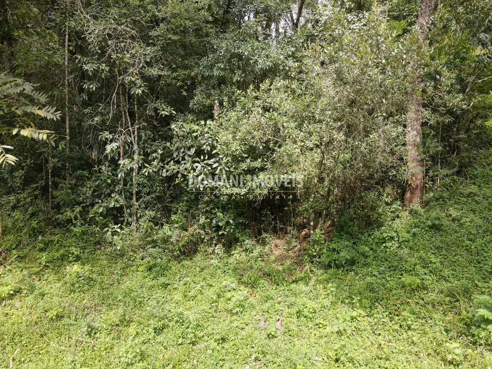Terreno, 1270 m² - Foto 9