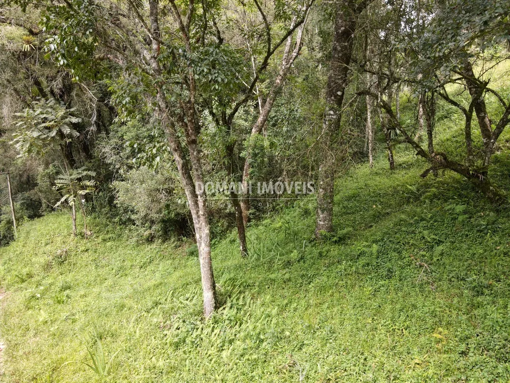 Terreno, 1270 m² - Foto 12