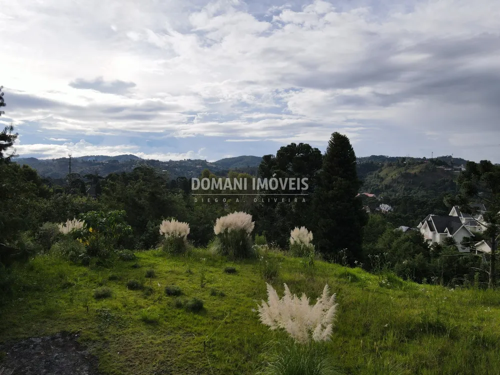 Terreno, 1160 m² - Foto 4