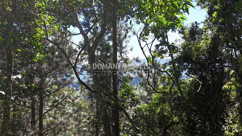 Terreno, 1030 m² - Foto 5