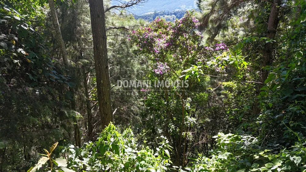 Terreno, 1030 m² - Foto 4
