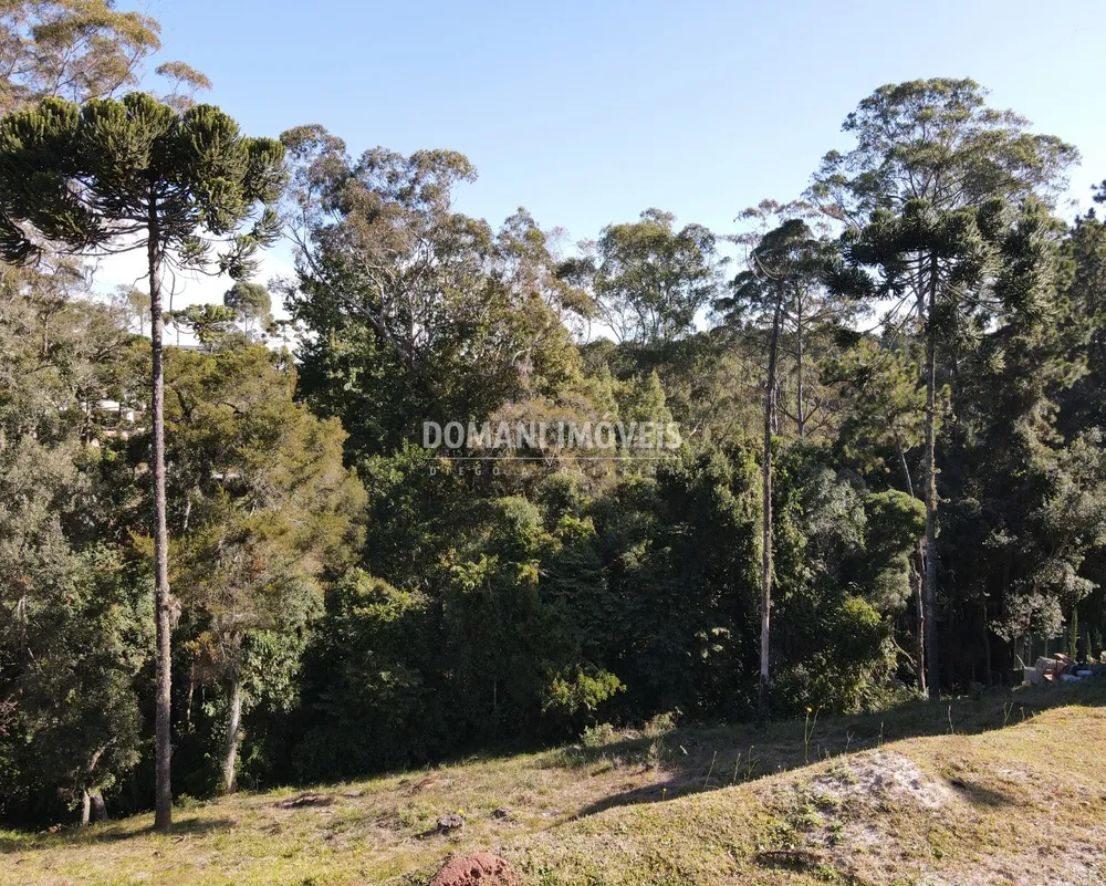 Terreno, 1040 m² - Foto 6