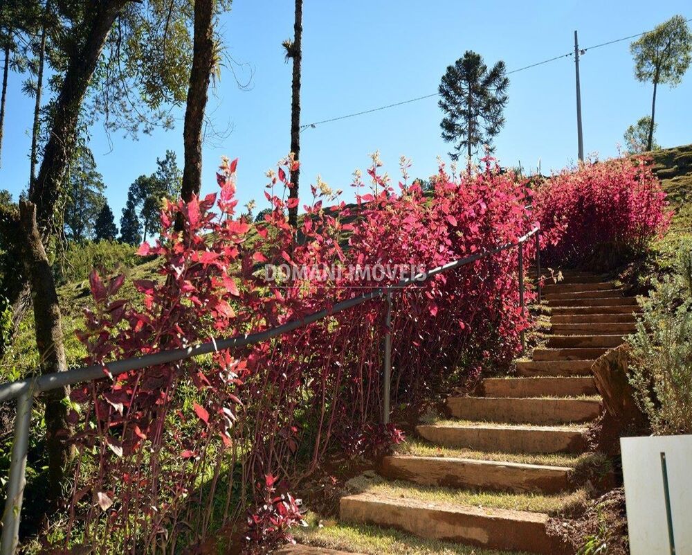 Terreno, 1040 m² - Foto 4