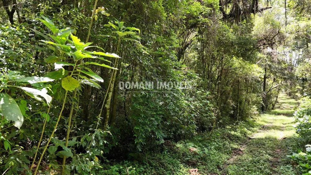 Terreno, 1 hectares - Foto 4
