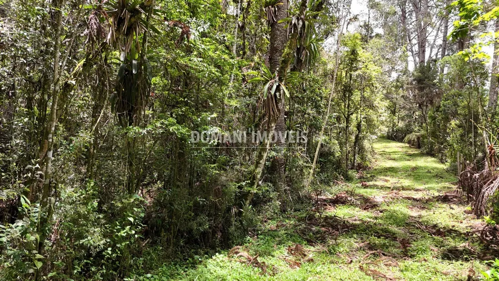 Terreno, 1 hectares - Foto 1
