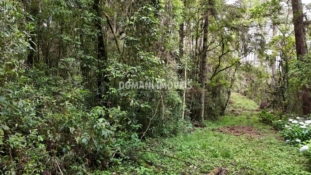 Terreno, 1 hectares - Foto 2