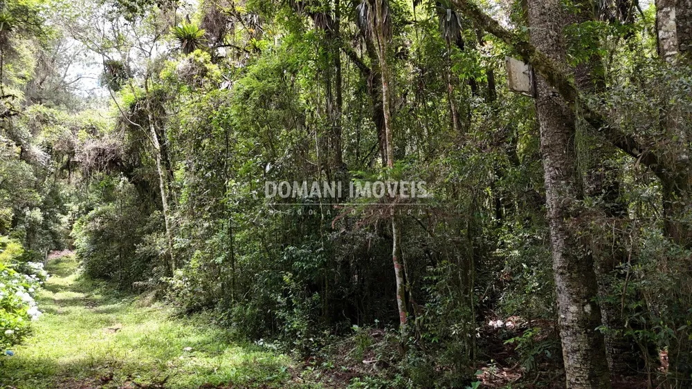 Terreno, 1 hectares - Foto 3