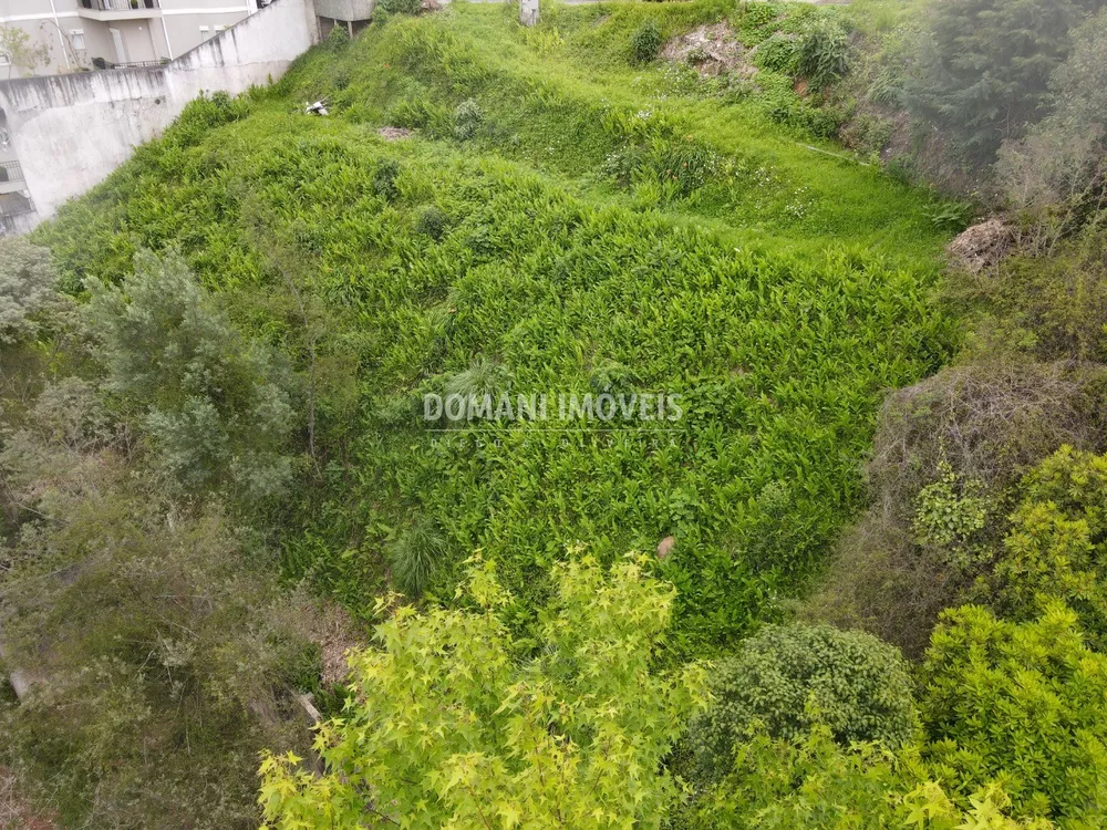 Terreno à venda, 1150m² - Foto 3