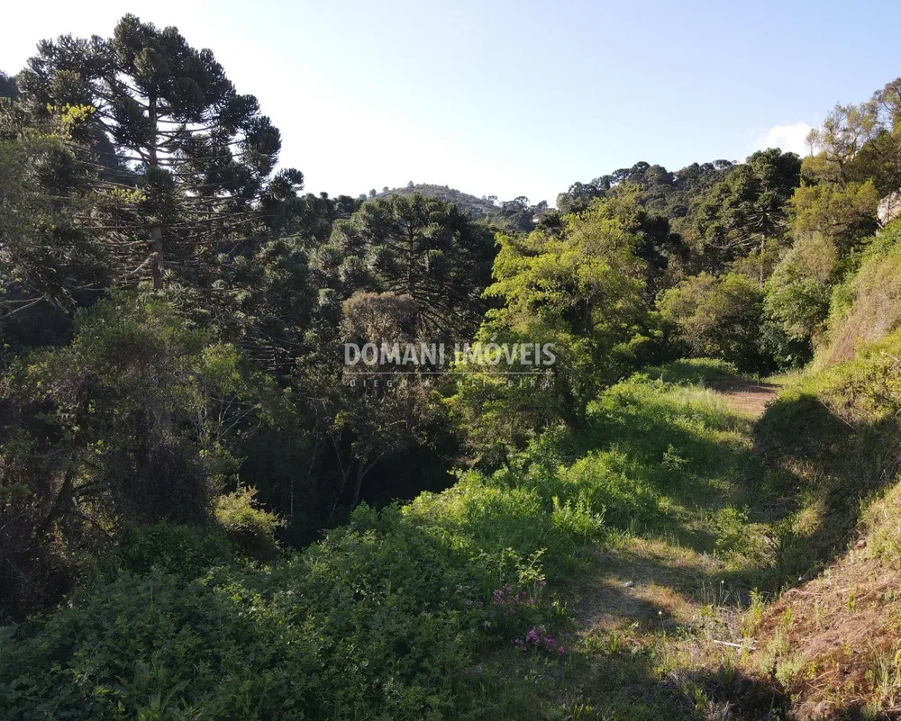 Terreno, 750 m² - Foto 4
