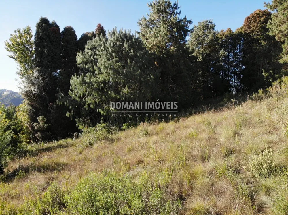 Terreno, 1600 m² - Foto 7