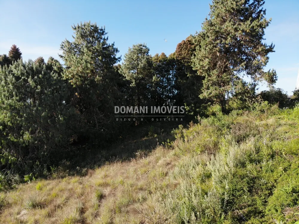 Terreno, 1600 m² - Foto 6