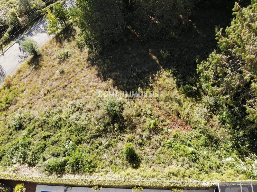 Terreno, 1600 m² - Foto 1