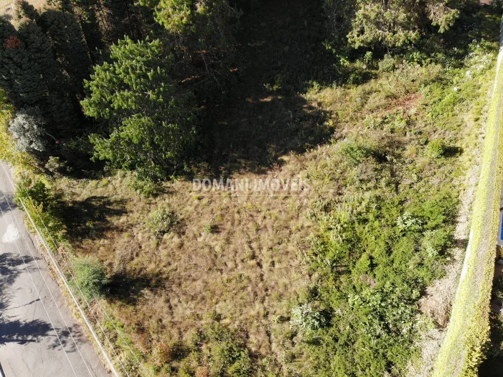 Terreno, 1600 m² - Foto 4